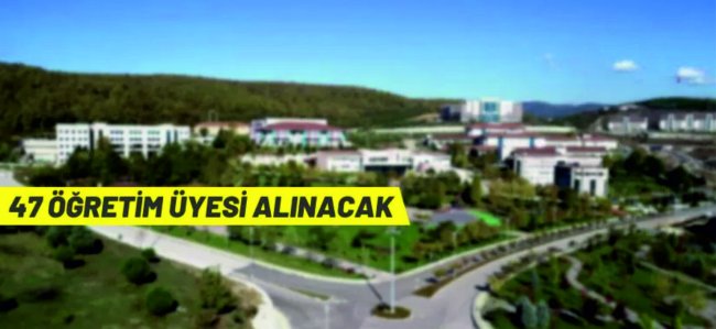 Düzce Üniversitesi, 47 Öğretim Üyesi alacak